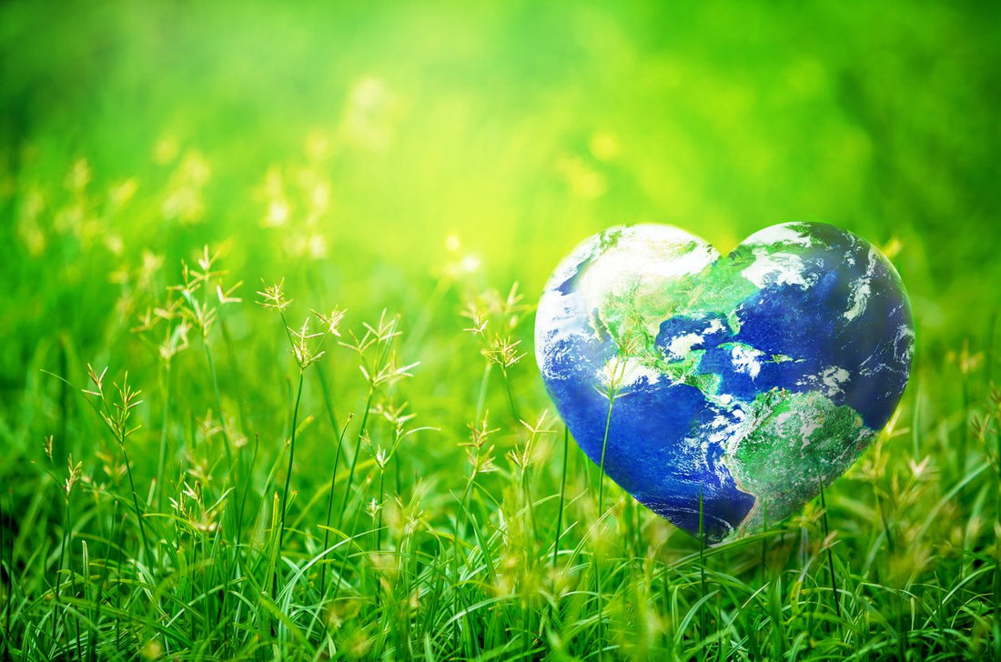 Earth Week 2021