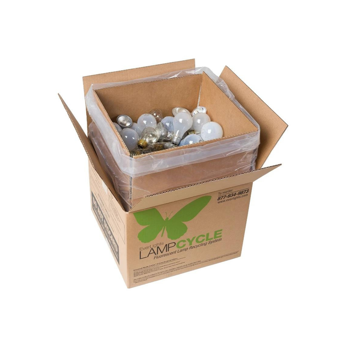 Incandescent LampCycle Kit